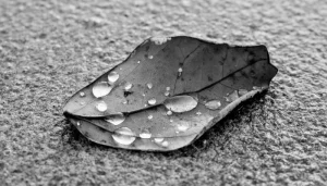 Los beneficios de los tejidos naturales frente a los sintéticos